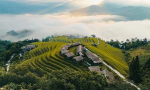 Mùa vàng Hoàng Su Phì trong mắt gen Z miền Nam